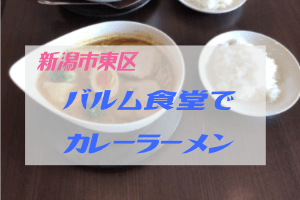 新潟市東区バルム食堂のカレーラーメン