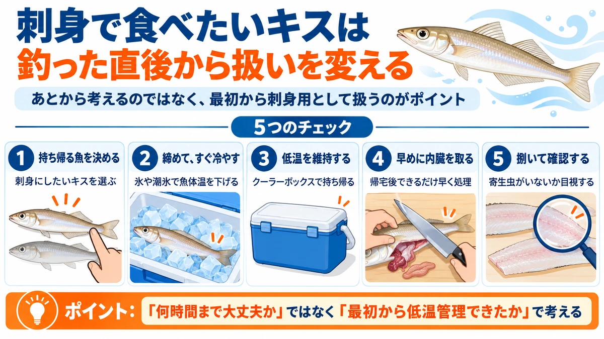 刺身にするキスを釣った直後から低温管理する手順のチェックリスト