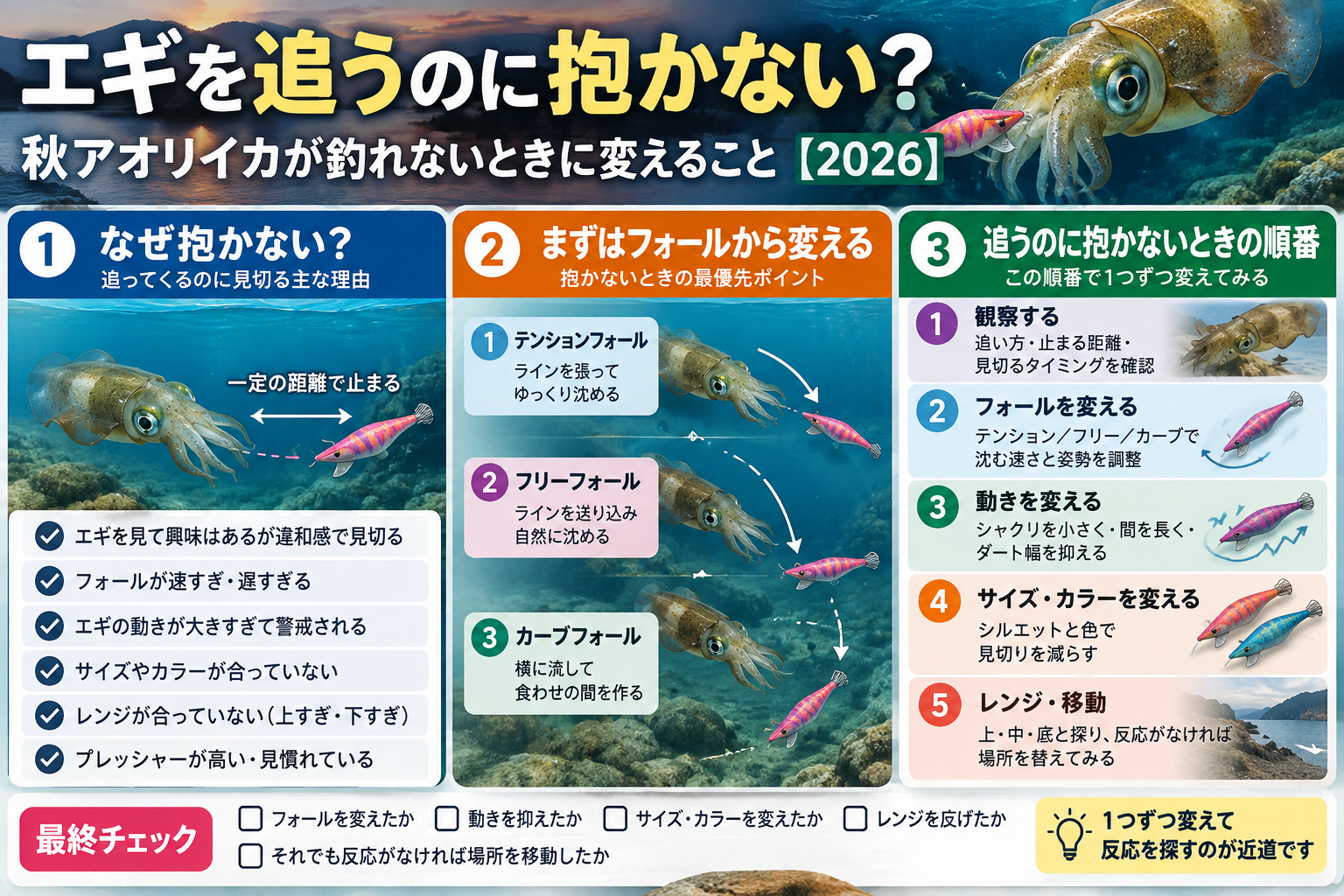 エギを追うのに抱かない秋アオリイカへの対処順をまとめたインフォグラフィック