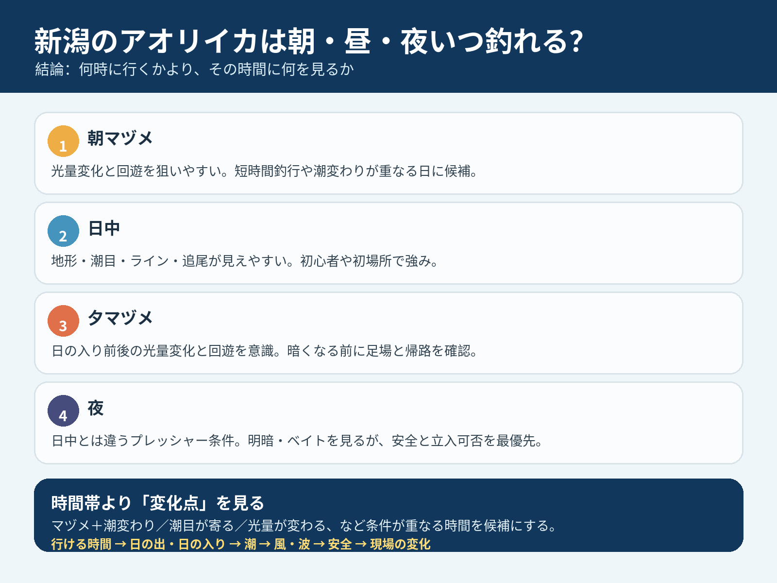 新潟のアオリイカは朝・昼・夜いつ釣れる？の要点をまとめたインフォグラフィック