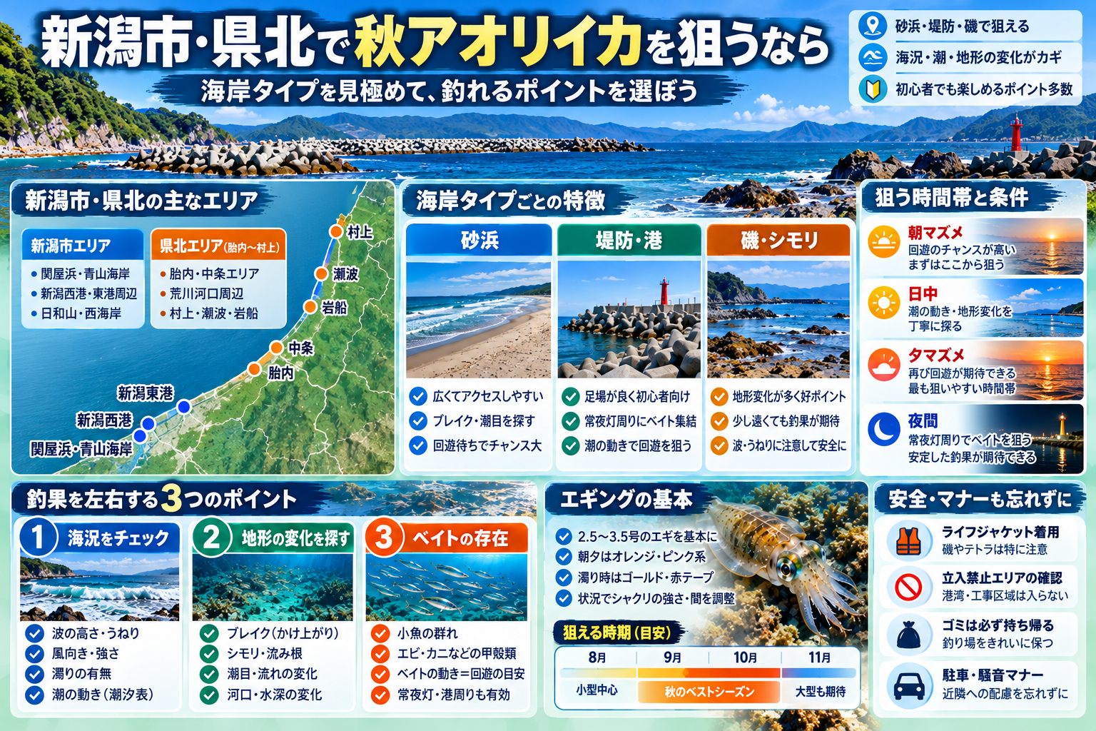 新潟市・県北の秋アオリイカの海岸選びをまとめた記事要約インフォグラフィック