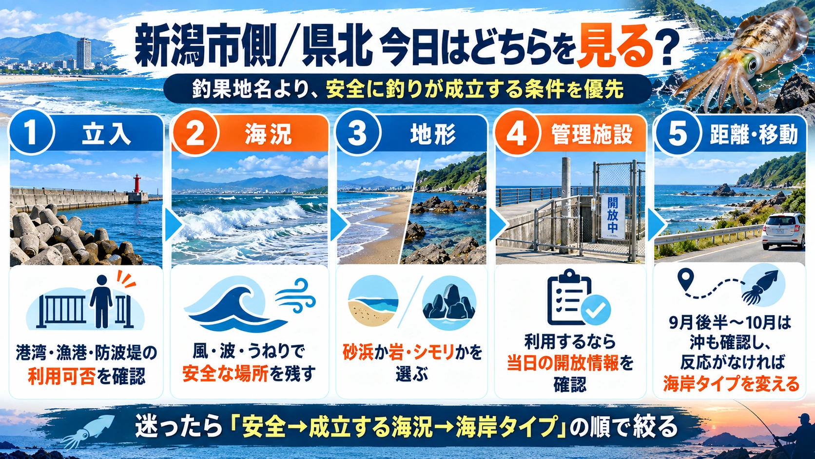 新潟市・県北で秋アオリイカの海岸タイプを選ぶ判断フロー
