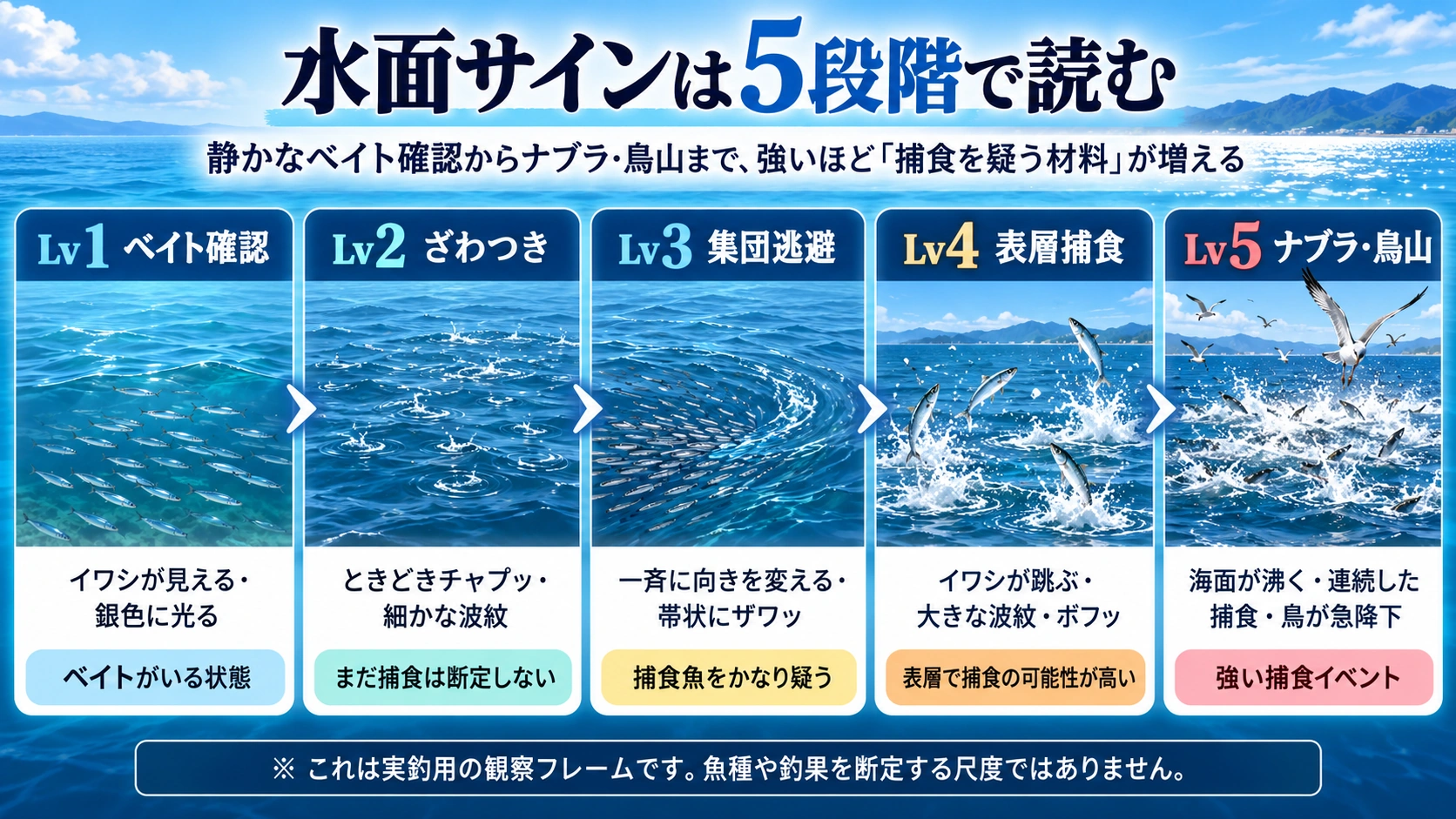 水面の魚サインをベイト確認からナブラ・鳥山まで5段階で示す図